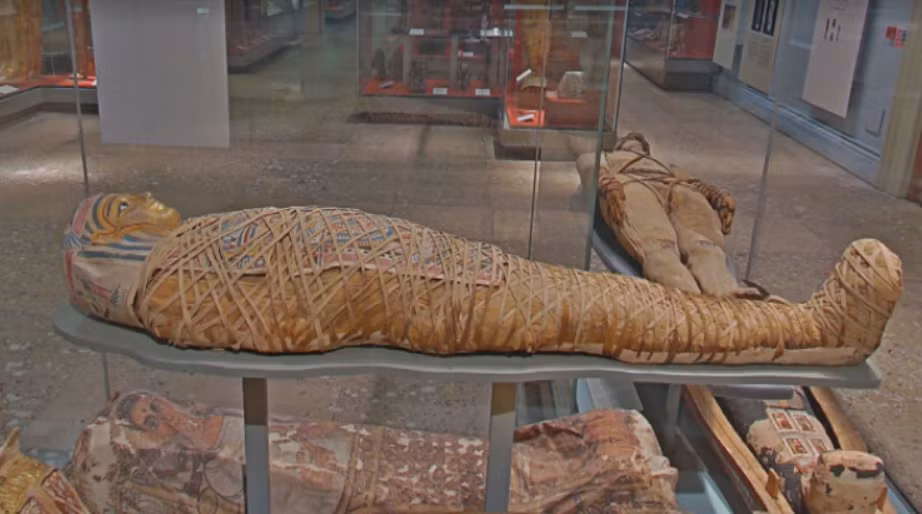 Nhóm nghiên cứu đã kiểm tra tổng cộng chín xác ướp Ai Cập cổ đại, trong đó có xác ướp lâu đời nhất (từ năm 1.539 đến 1.077 TCN) và xác ướp mới nhất từ thời Byzantine (từ thế kỷ thứ III đến thế kỷ thứ IV SCN). Ảnh: @British Museum.