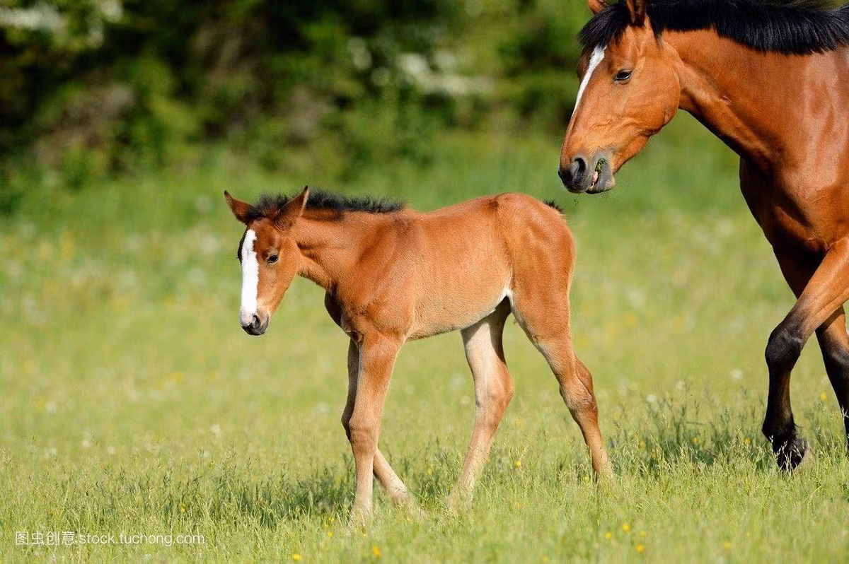 Thời gian 4 năm tới từ 2022 đến 2026, Thần Tài yêu thương nên tài vận của người tuổi Ngọ đi lên nhanh chóng. Chính Tài và Thiên Tài đều đại phát nên không chỉ nguồn thu chính ổn định, tăng nhanh mà nguồn thu phụ cũng đem lại không ít khoản thu không nhỏ.