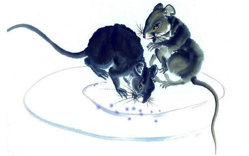 Tuổi Tý: Trong vòng 50 ngày tới, vận thế của người tuổi Tý vô cùng trắc trở. Do cung Tài Bạch xuất hiện Không Tinh nên tài vận bị hao tổn nặng nề. 