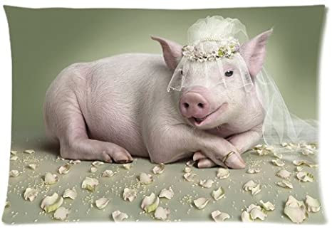 Tuổi Hợi từ chối sự giúp đỡ của một số người ở nơi làm việc, đây là quyết định đúng đắn vì bạn không biết rõ động cơ phía sau. Hôm nay con giáp có cơ hội làm ăn rộng mở, nhờ vậy, thu về lợi nhuận đáng ăn mừng. (*Thông tin chỉ mang tính chất chiêm nghiệm, trắc nghiệm vui).