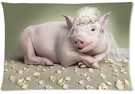 Tuổi Hợi từ chối sự giúp đỡ của một số người ở nơi làm việc, đây là quyết định đúng đắn vì bạn không biết rõ động cơ phía sau. Hôm nay con giáp có cơ hội làm ăn rộng mở, nhờ vậy, thu về lợi nhuận đáng ăn mừng. (*Thông tin chỉ mang tính chất chiêm nghiệm, trắc nghiệm vui).