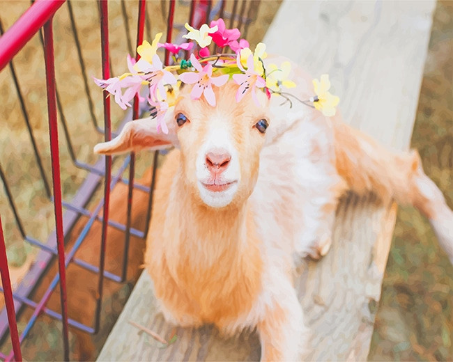 Vì vậy, bất kể khi nhìn thấy người khác gặp khó khăn, con giáp sẽ chủ động mở rộng vòng tay, làm hết sức mình để giúp đỡ, dành tình yêu thương cho người khác. Tuổi Mùi sẽ rất nổi tiếng, ở đâu cũng yêu mến và ca ngợi con giáp.