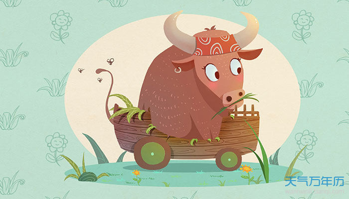 Hai tháng tới chính là đại vận may mắn của người tuổi Sửu. Mọi việc trở nên đại cát đại lợi, thuận buồm xuôi gió, con giáp này làm gì cũng dễ dàng thành công.