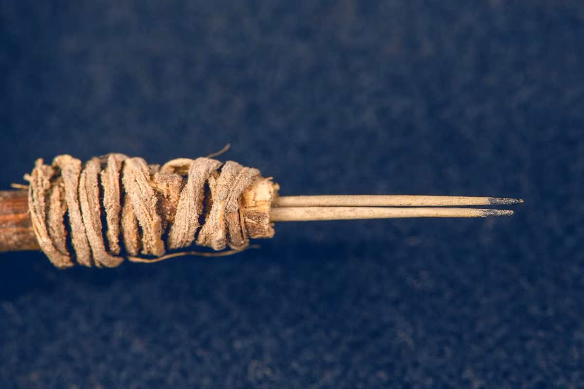 Nhà nghiên cứu W. James Stemp viết: "Mặc dù thành phần hóa học của chất sắc tố xăm mình này vẫn chưa được biết rõ, nhưng có thể chúng là dấu vết của loại mực gốc bồ hóng, giống như những loại được ghi chép trong tài liệu dân tộc học lịch sử của người Maya cổ đại". Ảnh: @Sci.News.