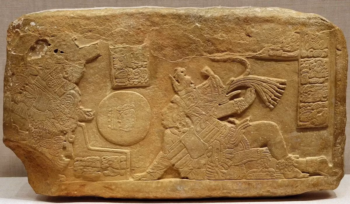 Trong số các loại thực vật được khai quật tại tàn tích sân bóng cổ của người Maya, có những loài thực vật được tôn kính vì biểu tượng tôn giáo và vì đặc tính y học của chúng. Ảnh: @Sailko.