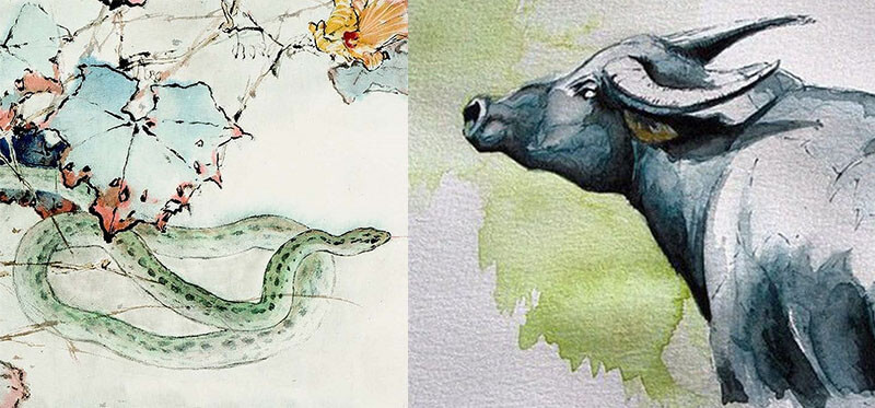 Còn người nam tuổi Tỵ lại rất coi trọng, yêu thương gia đình và bạn đời. Chính vì thế sự kết đôi của hai con giáp này không chỉ có lợi cho sự phát triển tình cảm, mà sự nghiệp của cả hai cũng thăng tiến, cuộc sống gia đình ngày một giàu có hạnh phúc.