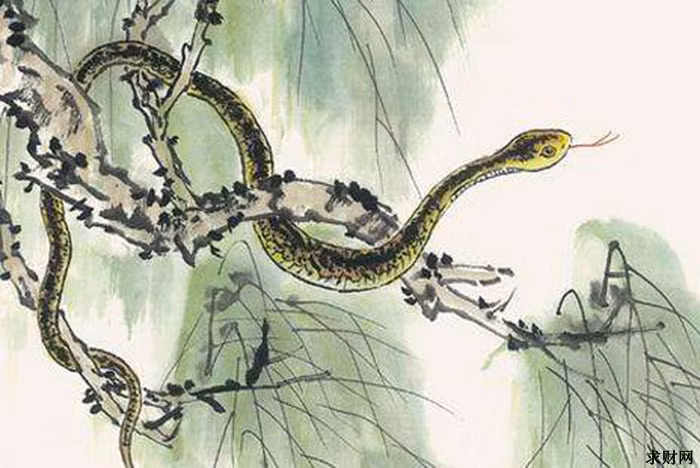 Tháng 11 âm lịch, chuyện tình cảm của người tuổi Tỵ vô cùng suôn sẻ. Không khí gia đình đặc biệt êm ấm, hạnh phúc, cha mẹ khỏe mạnh, vợ chồng mặn nồng không vì những chuyện nhỏ nhặt mà cãi nhau. Ngoài ra, công việc và thu nhập hồng phát bất ngờ.