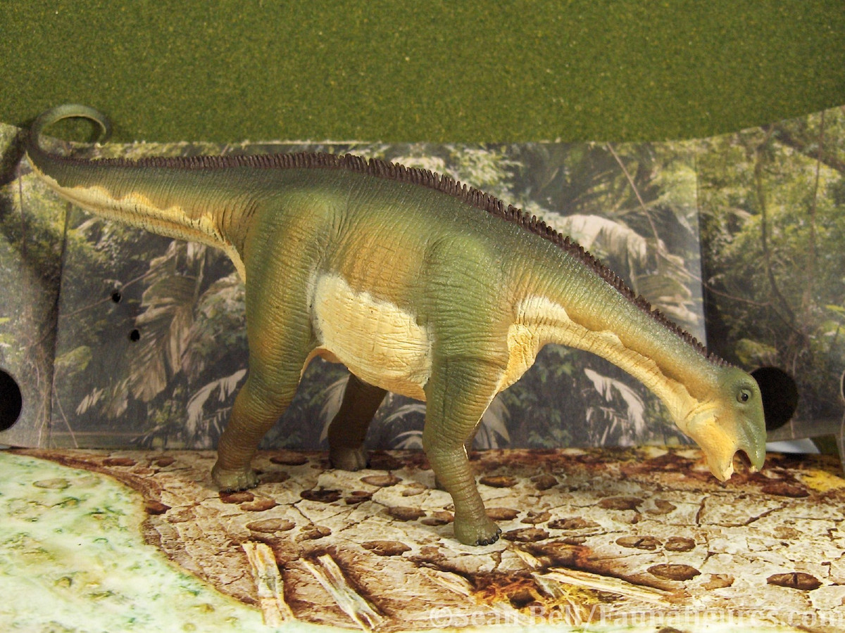 Chế độ ăn uống và lối sống này sẽ làm mòn răng nhanh chóng, nên đòi hỏi phải có nguồn cung cấp răng thay thế ổn định, liên tục. Một nghiên cứu được công bố trên tạp chí PLOS One năm 2013 cho thấy, Nigersaurus có thể đã thay thế từng chiếc răng "mới" chỉ sau 14 ngày. Ảnh: @Animal Toy Forum.