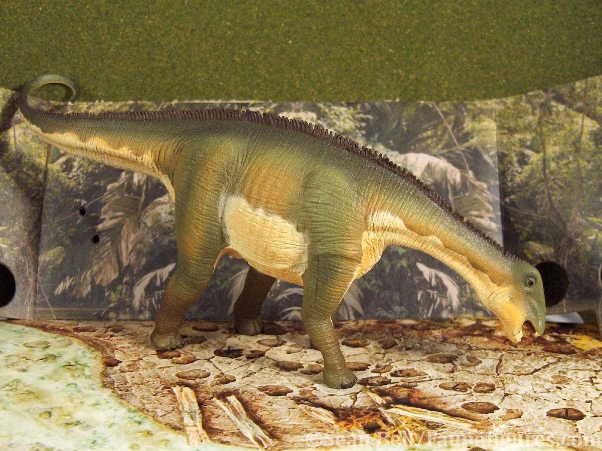 Chế độ ăn uống và lối sống này sẽ làm mòn răng nhanh chóng, nên đòi hỏi phải có nguồn cung cấp răng thay thế ổn định, liên tục. Một nghiên cứu được công bố trên tạp chí PLOS One năm 2013 cho thấy, Nigersaurus có thể đã thay thế từng chiếc răng "mới" chỉ sau 14 ngày. Ảnh: @Animal Toy Forum.