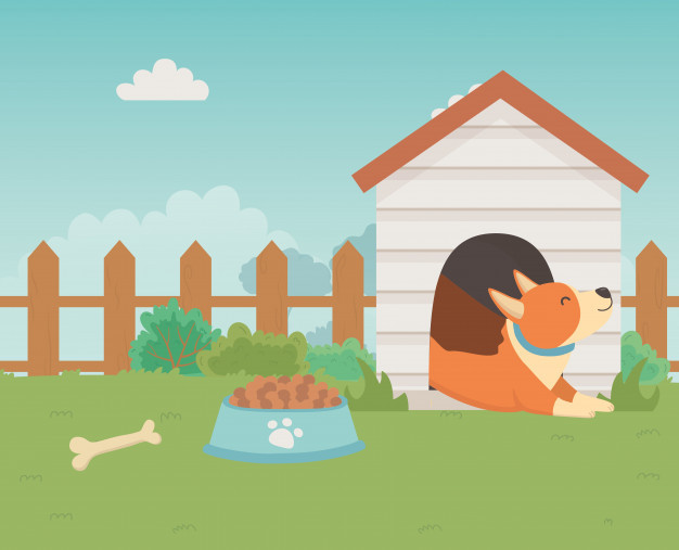 Tuổi Tuất có vận trình tốt hơn trong tuần này. Về công việc, con giáp ăn nên làm ra, vượng khí sẽ giúp cho cung hoàng đạo này dễ dàng khởi nghiệp, mở rộng quy mô kinh doanh, phát triển bên lề, hoặc đầu tư vào công việc kinh doanh, dự án mới. Tài lộc trong nửa đầu tuần lên cao, tuy nhiên hai ngày cuối tuần suy yếu, các khoản chi tiêu tăng cao, hãy cố gắng tiết kiệm.