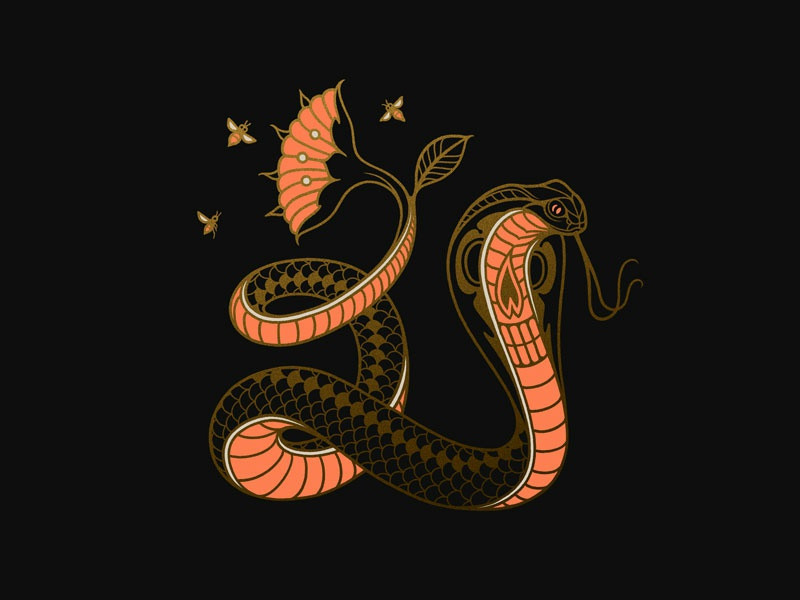 Tuổi Tỵ quá cảnh giác và cầu toàn đôi khi cũng không tốt, gây mất lòng đồng nghiệp. Tiêu xài quá nhiều, hôm nay con giáp chịu áp lực không nhỏ về tài chính.