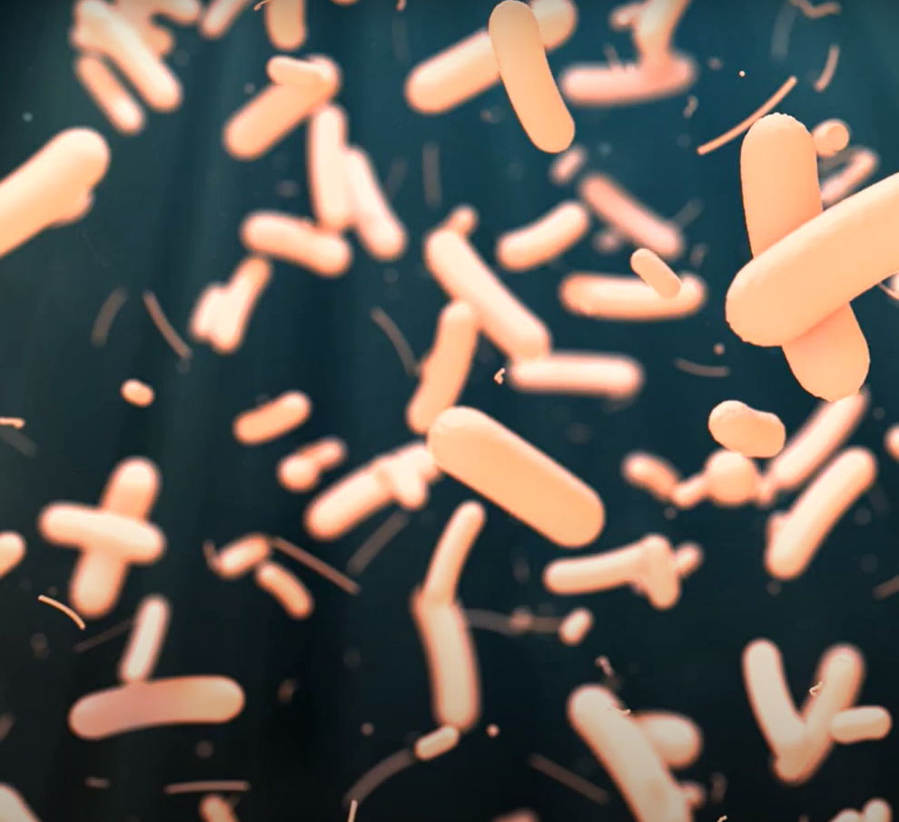 Polystyrene cực kỳ bền về mặt hóa học. Điều này khiến việc tái chế mà không tạo ra các sản phẩm phụ có hại trở nên khó khăn. Tuy nhiên, ấu trùng này tiêu hóa được Polystyrene, do vi khuẩn độc đáo trong ruột của chúng. Ảnh: @technolapp.