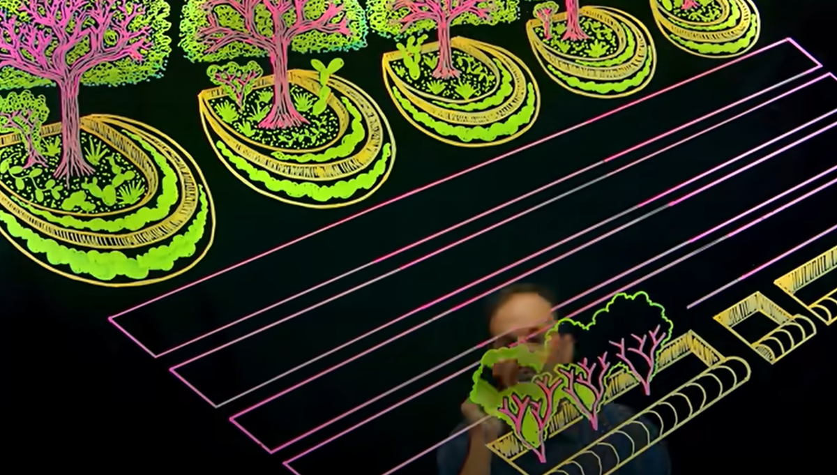 Tảo phát triển theo cấp số nhân trong vòng vài tuần, hấp thụ carbon và giải phóng oxy trở lại bầu khí quyển thông qua quang hợp. Sau khi thu hoạch, tảo được sấy khô, lưu trữ, giữ lại carbon trong tối đa 2.000 năm. Ảnh: @Andrew Millison.