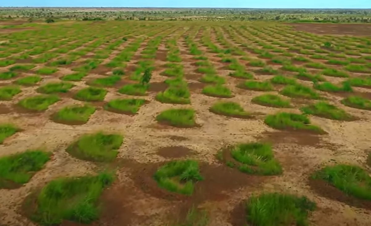 Brilliant Planet có trụ sở tại London đang nuôi tảo tại một trong những thị trấn ven biển của Morocco (Tây Bắc Châu Phi) cho thí nghiệm khoa học này. Ảnh: @Andrew Millison.