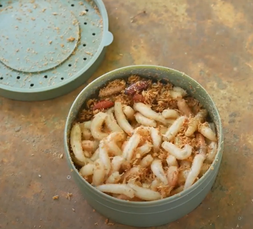 Thay vì dựa vào chính ấu trùng, các nhà khoa học hướng đến việc phân lập, sao chép các vi khuẩn và enzyme trong nó để phát triển các giải pháp thực tế và mở rộng quy mô. Ảnh: @technolapp.