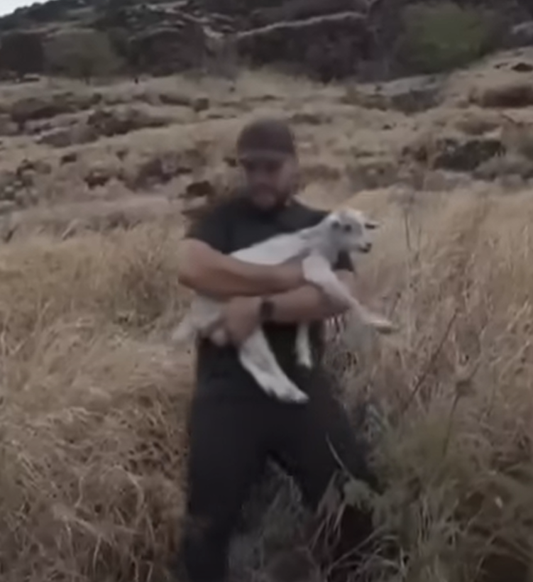 Sử dụng một quả táo để lấy lòng tin của nó, họ đã đưa được con vật xuống an toàn sau 45 phút căng thẳng. Con dê được đặt tên là Bala, có nghĩa là "trắng" trong tiếng Hawaii, đã được đưa đến Khu bảo tồn động vật Aloha. Ảnh: @Hawaii News Now. 