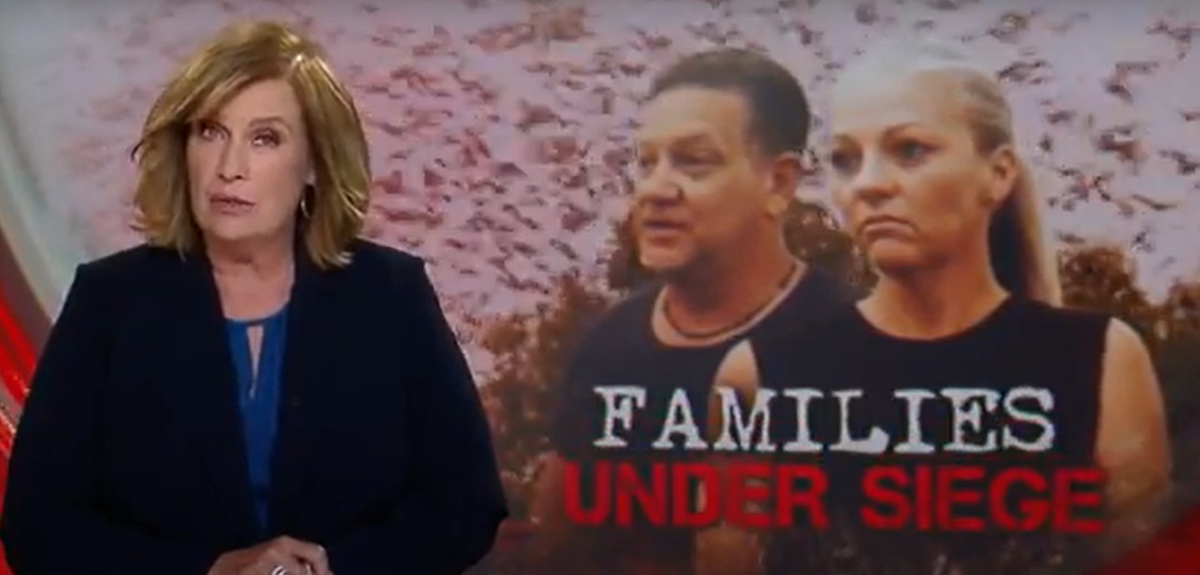 Tại thị trấn Ingham, Bắc Queensland, Úc, 300.000 con dơi đã ập xuống mà không báo trước, làm gián đoạn cuộc sống thường nhật khiến cư dân hoảng loạn. Cuộc xâm lược dữ dội đến mức một số phụ huynh phải giữ con ở nhà, vì lo sợ cho sự an toàn của chúng. Ảnh: @A Current Affair.