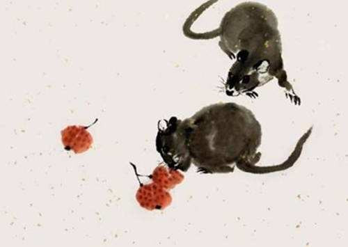 49 ngày tới, do bước vào đại vận nên người tuổi Tý được quý nhân giúp đỡ rất nhiều trong sự nghiệp.