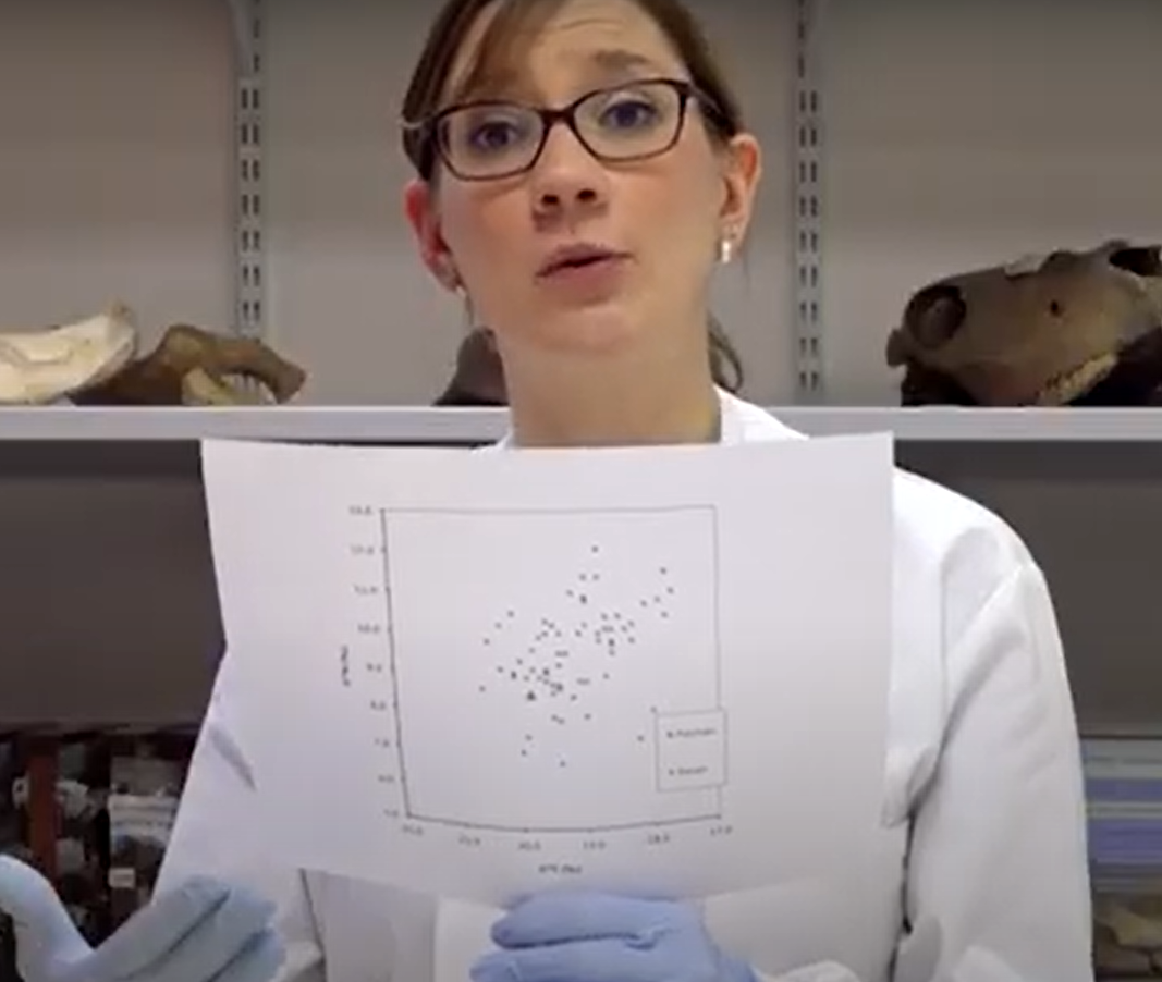 Lý do khác là do đàn ông tham gia trực tiếp hơn vào việc đánh bắt cá, do đó họ có thể tiếp cận hải sản tốt hơn. Ảnh: @Brighton &amp; Hove Museums.