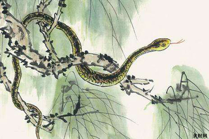 Người tuổi Tỵ tuy bề ngoài lạnh lùng nhưng thực chất lại rất nhiệt tình, sẵn sàng giúp đỡ bạn bè mà không so đo tính toán thiệt hơn.