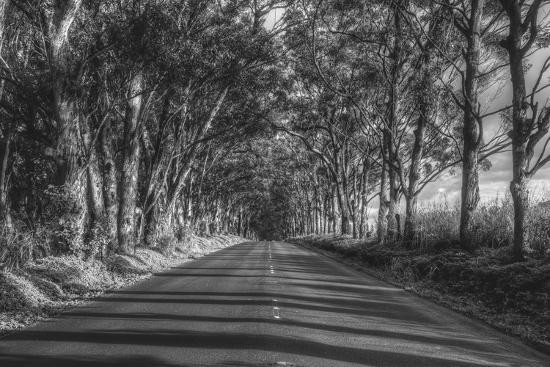 Một số người nói rằng, luồng ánh sáng đó là những linh hồn diễu hành ban đêm, vậy nên, một thế lực vô hình nào đó đã khiến chiếc xe dừng lại để không chạm trán với đoàn diễu hành ma quái. Ảnh: @Art.