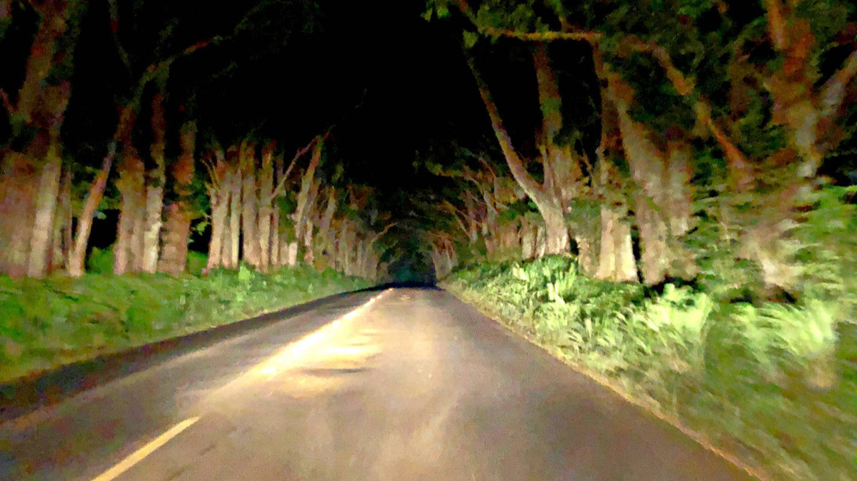 Xong rồi thì luồng ánh sáng diễu hành đó biến mất, và đó cũng là lúc chiếc xe tự khởi động lại mà không có lời giải thích nào, khiến hai anh em bối rối và hoảng sợ vì trải nghiệm này. Ảnh: @Mysteries of Hawaii.