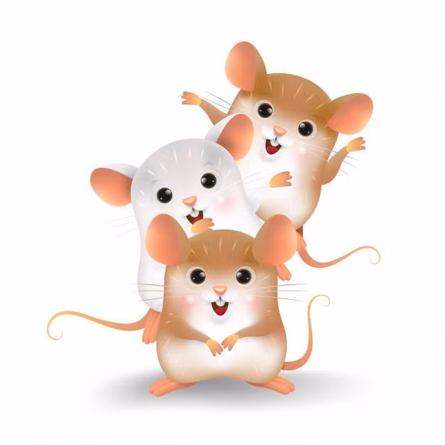  Dự đoán ngày 24/7/2021 cho thấy tuổi Tý có thể đi công tác, đừng lo lắng, vì đây chính là cơ hội để con giáp thăng quan tiến chức. Tài lộc đang tăng tiến, con giáp cố gắng kiếm tiền, đừng chậm trễ.