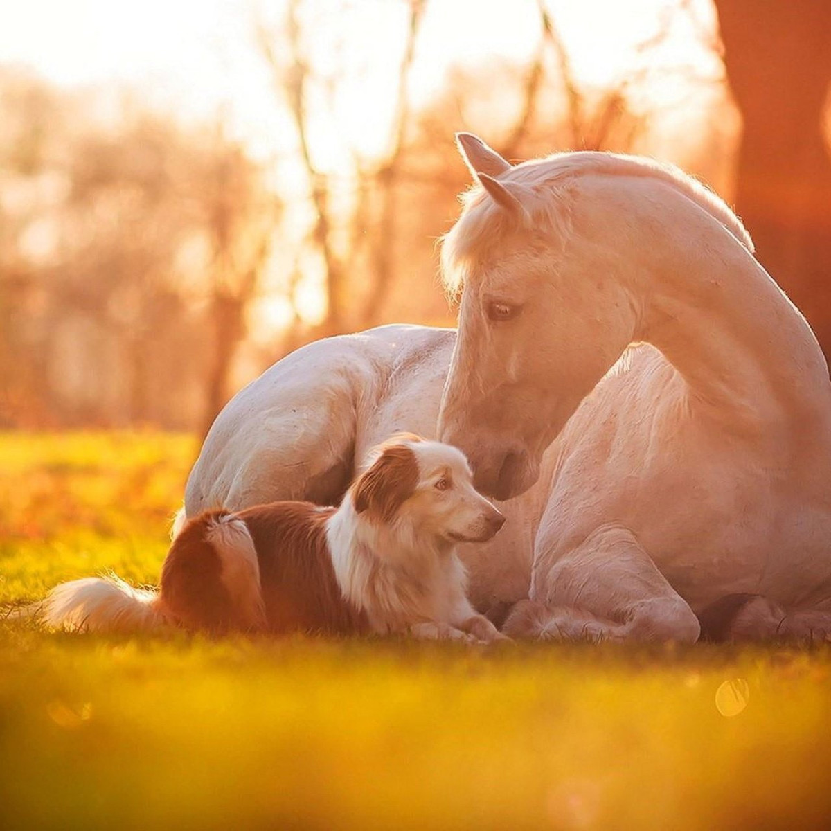 Hôm nay dù được giao nhiệm vụ gì, tuổi Ngọ cũng cố gắng làm đến cùng, sau những ngày trắc trở, mọi chuyện sẽ thuận lợi với con giáp. Tuổi Ngọ cần bớt hào phóng tùy tiện, chỉ nên chi tiền cho những người quan trọng, kẻo cuối ngày lại rỗng ví.