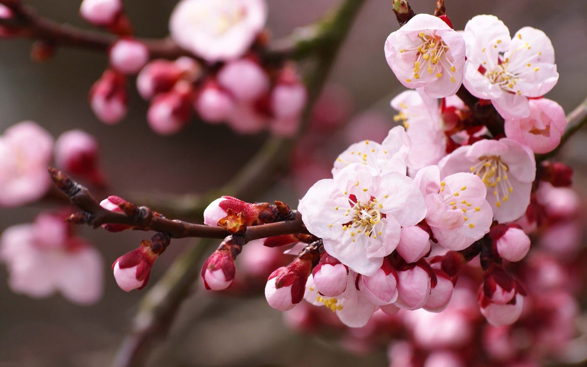 Tuổi Ngọ: Vận thế chung: 4.8 điểm. Sự nghiệp: 4.7 điểm. Tình cảm: 4.4 điểm. Tài vận: 4.4 điểm. Sức khỏe: 4.7 điểm. Sự nghiệp: Có quý nhân dẫn đường chỉ lối, công việc thăng tiến. Tình cảm: có nhiều tin vui trong chuyện tình cảm. Tài vận: có thêm nhiều khoản thu. Sức khỏe:c ần quan tâm nhiều đến sức khỏe bản thân. Con số may mắn: 2, 7. Màu sắc may mắn: màu đỏ. Hướng may mắn: hướng Nam. Quý nhân tuần này: tuổi Thìn, tiểu nhân tuần này: tuổi Thân. Lời khuyên: nên đi kiểm tra sức khỏe. Ảnh: cuegyo.blogpost.com.