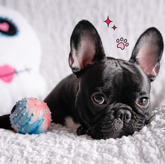 Đặc biệt, tuổi Tuất sẽ có những may mắn trong tài lộc. Nhiều khoản tiền may rủi bất ngờ ập đến, có thể dưới dạng lợi nhuận khổng lồ, cũng có thể là trúng số. Tuổi Tuất bước vào giai đoạn ngập tràn trong tiền bạc rủng rỉnh, bù đắp cho những tháng ngày khó khăn trước đó. (*Thông tin chỉ mang tính chất chiêm nghiệm, trắc nghiệm vui).