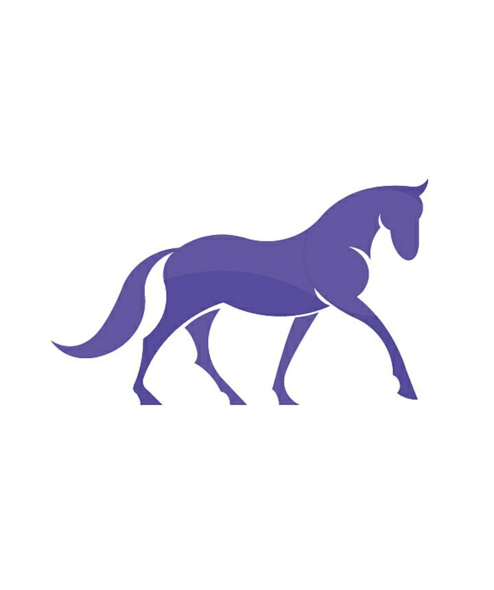  Tuổi Ngọ: Hạn chế cãi vã, đấu khẩu, làm việc dĩ hòa vi quý là chìa khóa thành công cho tuổi Ngọ trong 7 ngày tới. Con giáp này có khả năng chạm tay tới thành công, nhưng với điều kiện phải hành xử đúng chuẩn mực, gạt bỏ mọi mối quan tâm, tập trung tối đa vào công việc. 