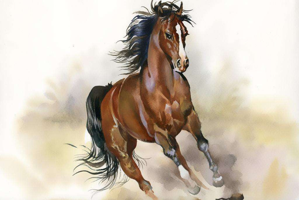 Tuổi Ngọ: Người tuổi Ngọ vốn có tính cách đơn giản, thẳng thắn nên làm thường không suy nghĩ quá phức tạp đối với mọi sự việc diễn ra quanh mình.