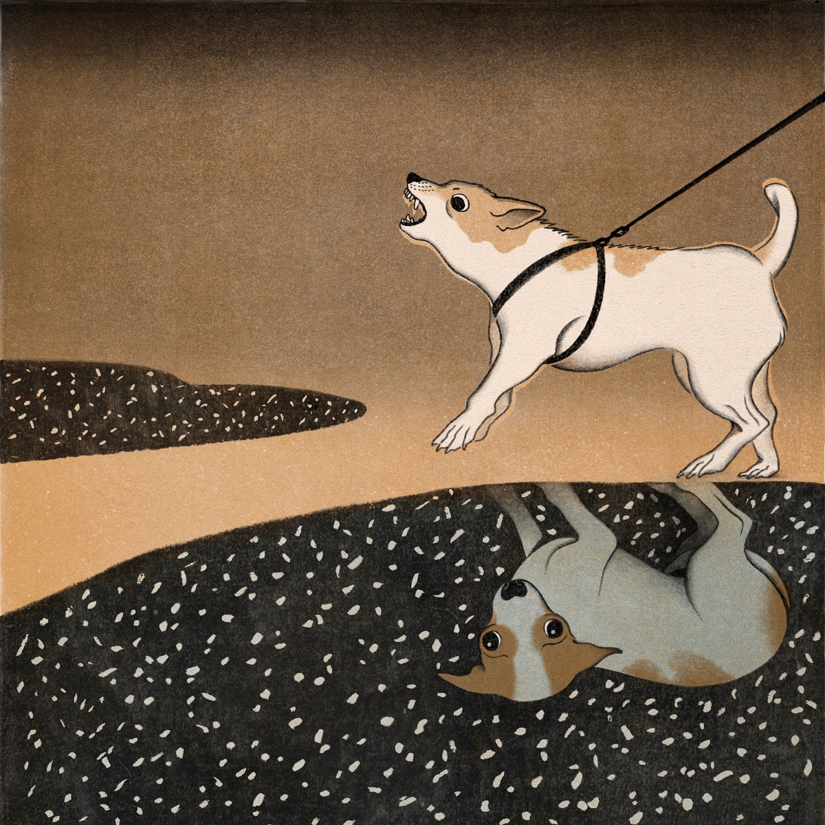 Vận trình công việc hôm nay đang lên, tuổi Tuất nên dành nhiều thời gian hơn cho công việc cũng như tích luỹ kinh nghiệm. Nhờ vậy con giáp thu nhập sẽ tăng cao.