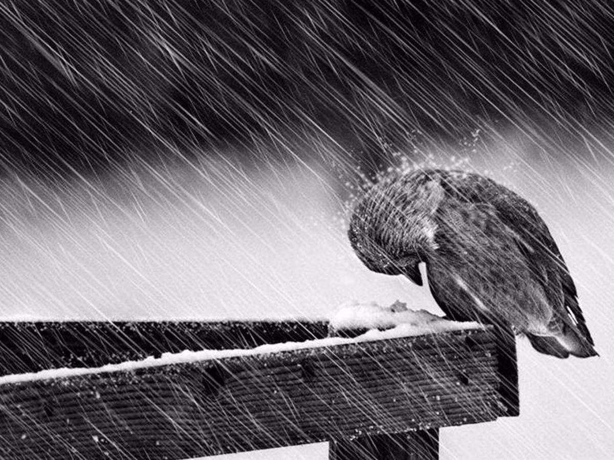 Người tuổi Ngọ sinh năm 1978 cần chú ý đến các bệnh liên quan đến mắt, người tuổi Ngọ sinh năm 2002 nên cẩn thận khi tham gia các hoạt động vận động ngoài trời do rất dễ bị thương. Ảnh: hdporganic.vn. (Bài viết chỉ mang tính tham khảo, cung cấp nội dung trắc nghiệm vui cho bạn đọc).