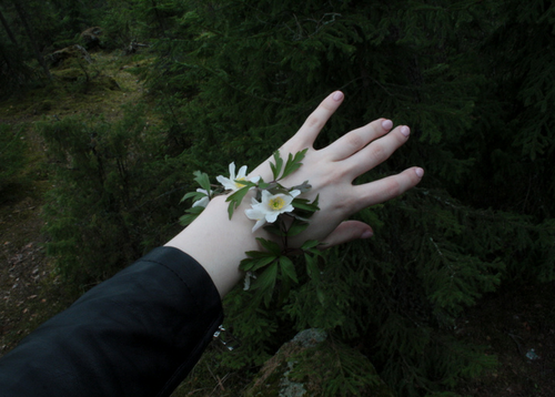 Tuổi Dần: Tháng 3/2018, công việc của người tuổi Dần suôn sẻ thuận lợi , được quý nhân phù trợ và có rất nhiều cơ hội phát triển sự nghiệp nhưng bên cạnh đó cũng cần cẩn thận, đề phòng tiểu nhân đố kỵ mà bị hãm hại. Ảnh: weheartit.com.