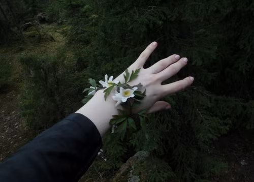 Tuổi Dần: Tháng 3/2018, công việc của người tuổi Dần suôn sẻ thuận lợi , được quý nhân phù trợ và có rất nhiều cơ hội phát triển sự nghiệp nhưng bên cạnh đó cũng cần cẩn thận, đề phòng tiểu nhân đố kỵ mà bị hãm hại. Ảnh: weheartit.com.