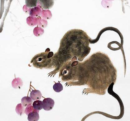 Tuổi Tý: Người tuổi Tý thông minh, thường nghĩ ra những ý tưởng độc đáo nhưng vì thời vận chưa đến nên vẫn chưa thể “cất cánh bay cao”.