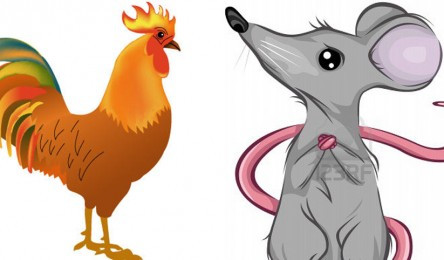 Tuổi Tý và tuổi Dần: Người tuổi Tý linh hoạt, tỉ mỉ, còn người tuổi Dần đầy tự tin và tràn đầy năng lượng. Sự kết hợp của hai con giáp này có thể làm tăng tài khí, phúc khí của đôi bên.