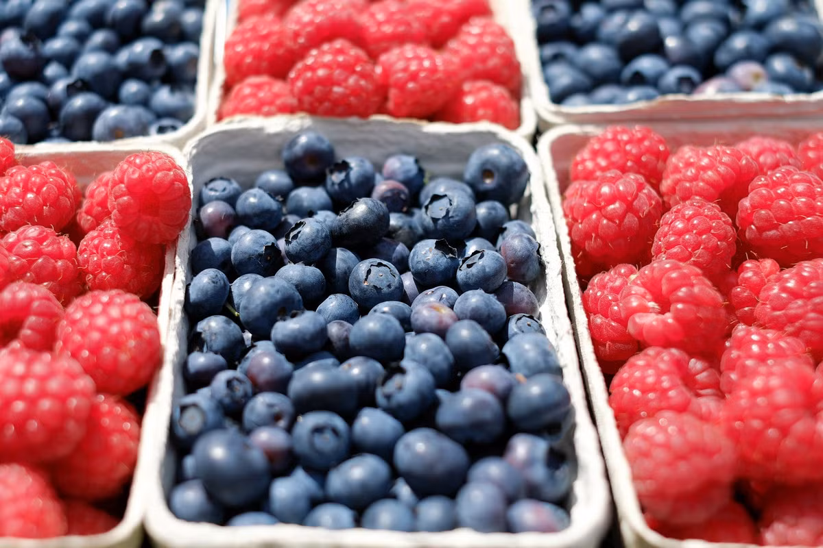 Tuổi Thân: Sự nghiệp: công việc có nhiều biến động và thách thức. Tài vận: tình hình tài chính bình thường, nên hạn chế chi tiêu. Tình cảm: vận đào hoa xấu, dễ xảy ra bất đồng ý kiến, nghi kỵ trong tình cảm. Ảnh: pexels.com.