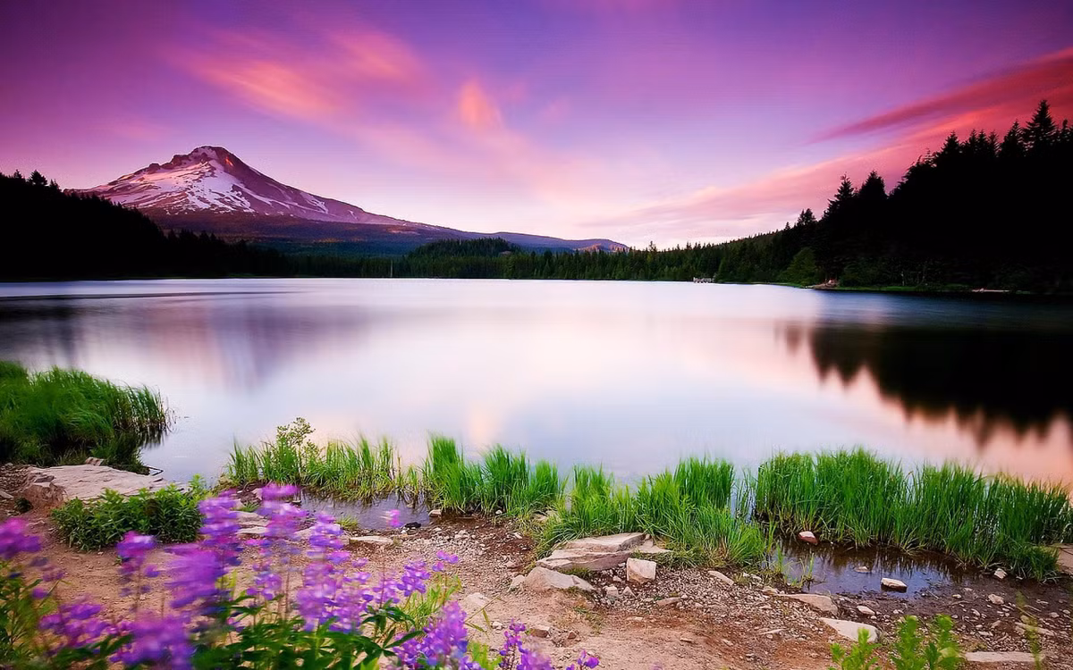 Sinh trung 8 ngay dai cat nay, Troi cham so do, khong dai gia cung thanh ty phu