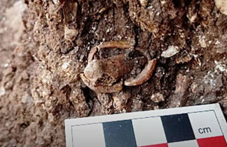 Trong số các đồ tang lễ được thu thập tại mộ có vòng cổ đá xanh và đồ trang sức xà cừ, vòng tay đá, mặt dây chuyền và hạt cườm được chế tác từ các vật liệu kỳ lạ như đá thạch cao và đá xanh. Ảnh: @M. Kunin/IAA.