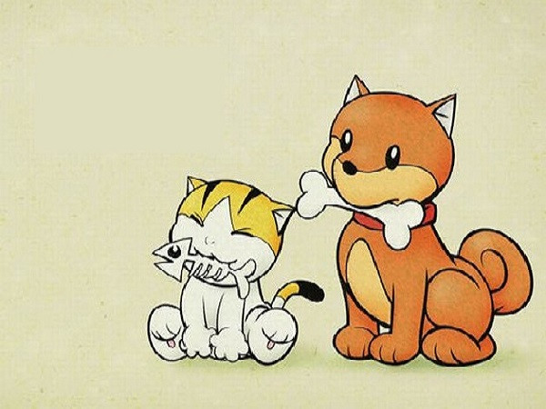 Người tuổi Mão và tuổi Tuất: Người tuổi Mão suy nghĩ cẩn trọng, giỏi phân tích, tiếc là quá bảo thủ nên thường bỏ lỡ không ít cơ hội, còn người tuổi Tuất trung thành, không sợ khó khăn, thử thách nhưng lại thiếu đi khả năng giao tiếp. 