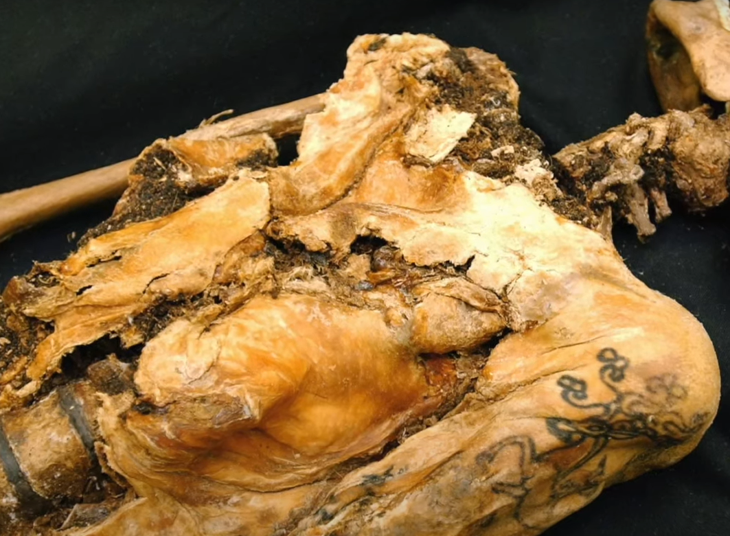 Được chôn cất cùng với vô số hàng hóa và sáu con ngựa, nơi an nghỉ cuối cùng của Ice Maiden ám chỉ đến địa vị quan trọng của cô trong nền văn hóa Pazyryk, nhưng chính những hình xăm của cô mới gợi lên câu chuyện hấp dẫn.Ảnh: @Archaeology Magazine.