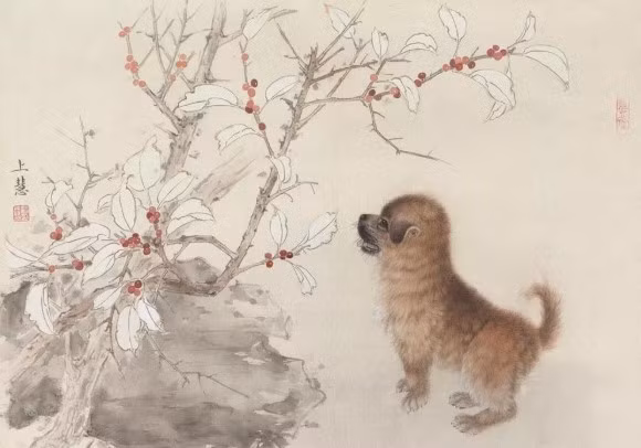 Năm Tân Sửu 2021, tài vận, thu nhập cũng là vấn đề mà người tuổi Tuất cần lo lắng. Lương từ công việc chính sẽ hiếm có khả năng được nâng lên, ngoài ra việc đầu tư bên ngoài cũng khó mang lại lợi nhuận, thậm chí lỗ vốn. Năm này, người tuổi Tuất cần nâng cao tinh thần tiết kiệm, hạn chế việc phung phí mua sắm những thứ không cần thiết. 