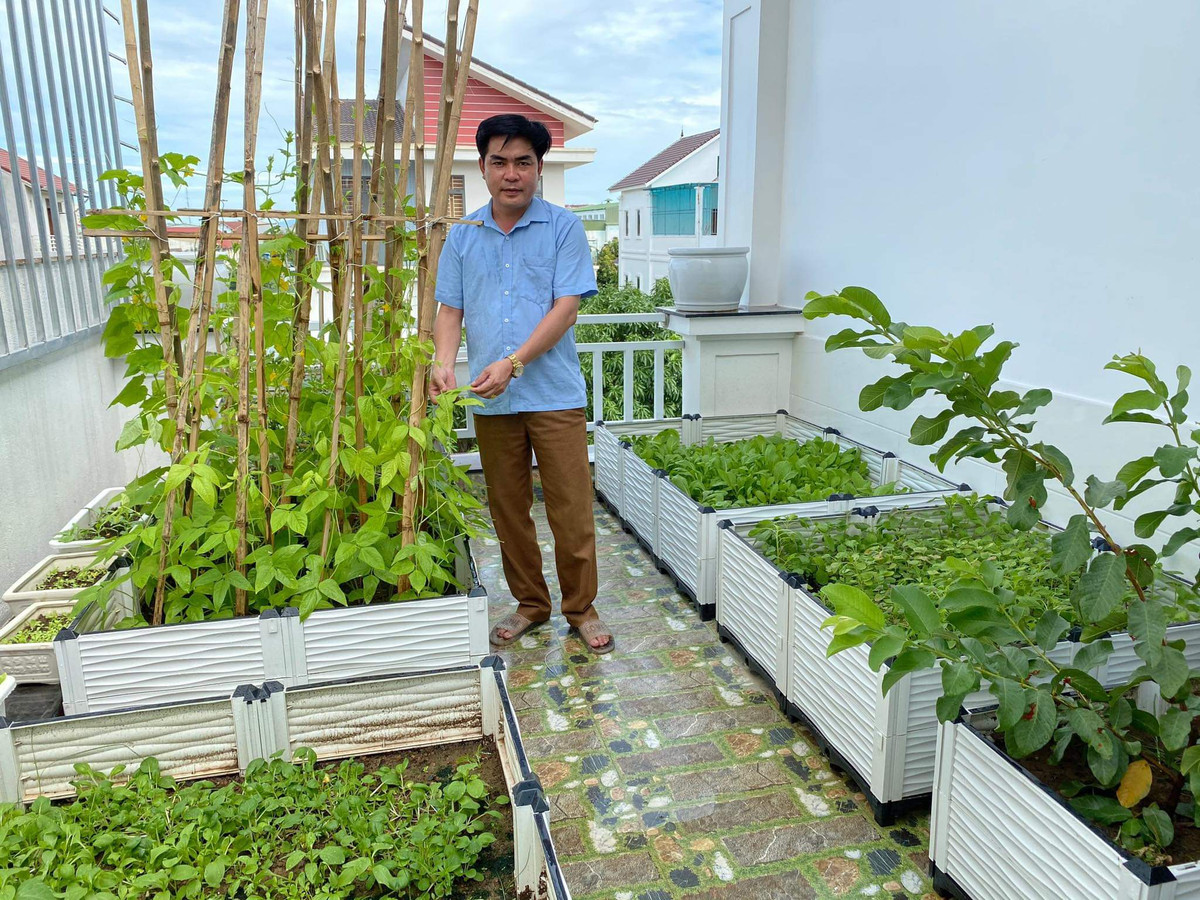 Lựa chọn chủng loại cây trồng cũng cần được để ý. Bạn cần tìm hiểu đặc tính các chủng loại rau quả để lựa chọn thời vụ, vị trí trồng cho phù hợp. Có thể trồng phối hợp các loại cây với nhau để tận dụng không gian, cây vừa có khả năng hỗ trợ với nhau về mặt sinh thái để tạo ra nguồn sản phẩm đa dạng và chất lượng tốt.