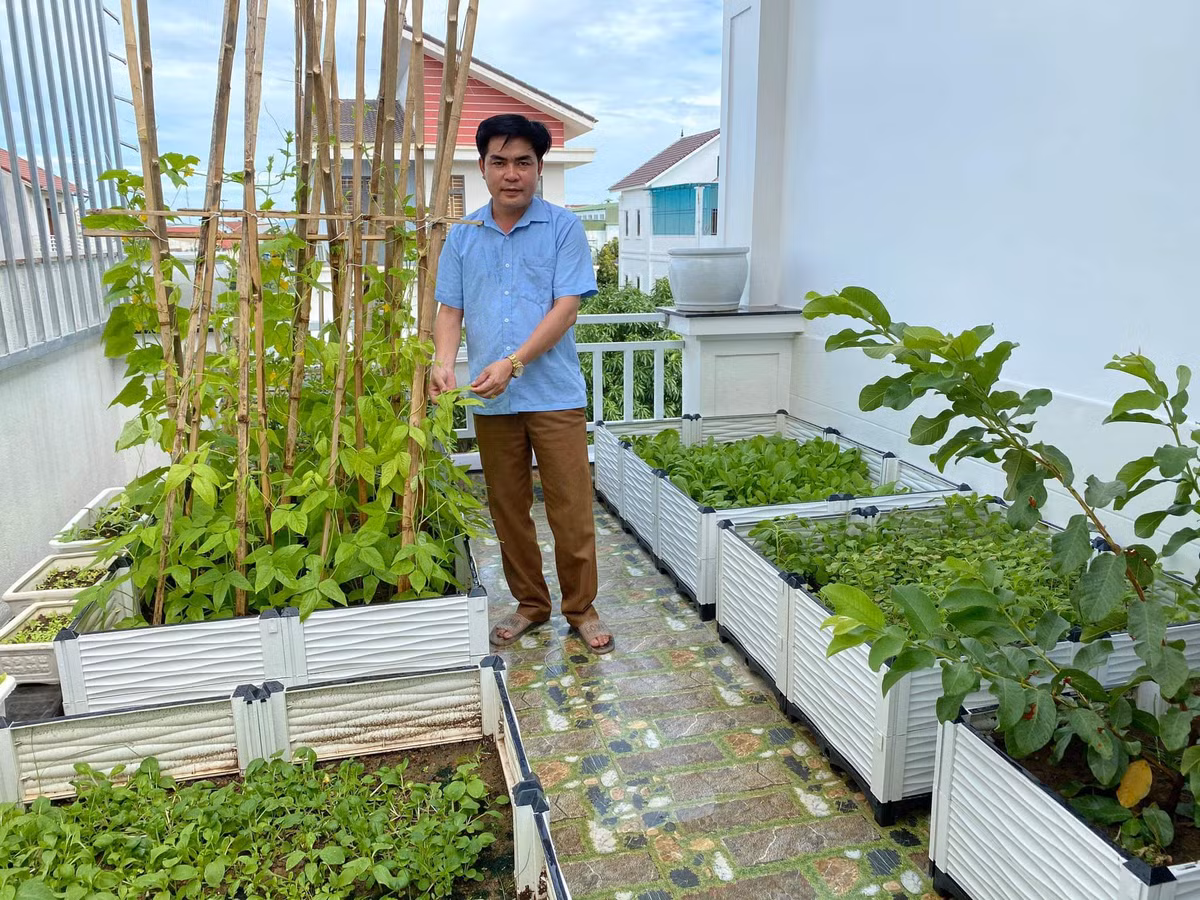 Lựa chọn chủng loại cây trồng cũng cần được để ý. Bạn cần tìm hiểu đặc tính các chủng loại rau quả để lựa chọn thời vụ, vị trí trồng cho phù hợp. Có thể trồng phối hợp các loại cây với nhau để tận dụng không gian, cây vừa có khả năng hỗ trợ với nhau về mặt sinh thái để tạo ra nguồn sản phẩm đa dạng và chất lượng tốt.