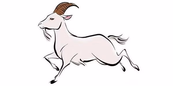 Năm 2021 không phải là năm rực rỡ về tài vận của người tuổi Mùi. Kiếm tiền được ít nhưng chi phí nhiều nên khó có thêm tích lũy. Trong năm Xung Thái Tuế rất dễ bị người khác lừa gạt về tài chính nên con giáp này không nên “ảo tưởng viển vông” mà rơi vào bẫy khiến cho tán gia bại sản. 