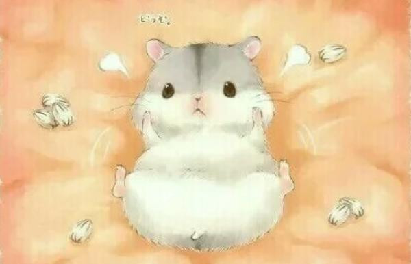 Cơ hội nhiều nhưng cũng sẽ kéo theo không ít rủi ro nên lời khuyên dành cho người tuổi Tý là cần giữ một cái đầu lạnh, một thái độ bình tĩnh khi gặp vấn đề tài chính phát sinh, có như vậy mới không gặp áp lực và không lo thất thoát tiền bạc. 