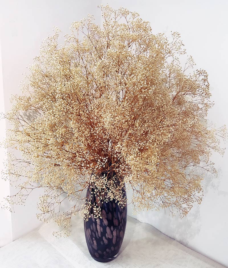 Tuổi Thân: Vận thế chung: 82 điểm. Tình cảm: chuyện tình cảm suôn sẻ. Sự nghiệp: gặp vấn đề nan giải cần giải quyết. Tài vận: chi nhiều hơn thu. Sức khỏe: chú ý hệ tiết niệu, bệnh phụ khoa. Hướng may mắn: hướng Đông. Lời khuyên: nên thay đổi tư duy. Ảnh: kimi.vn.