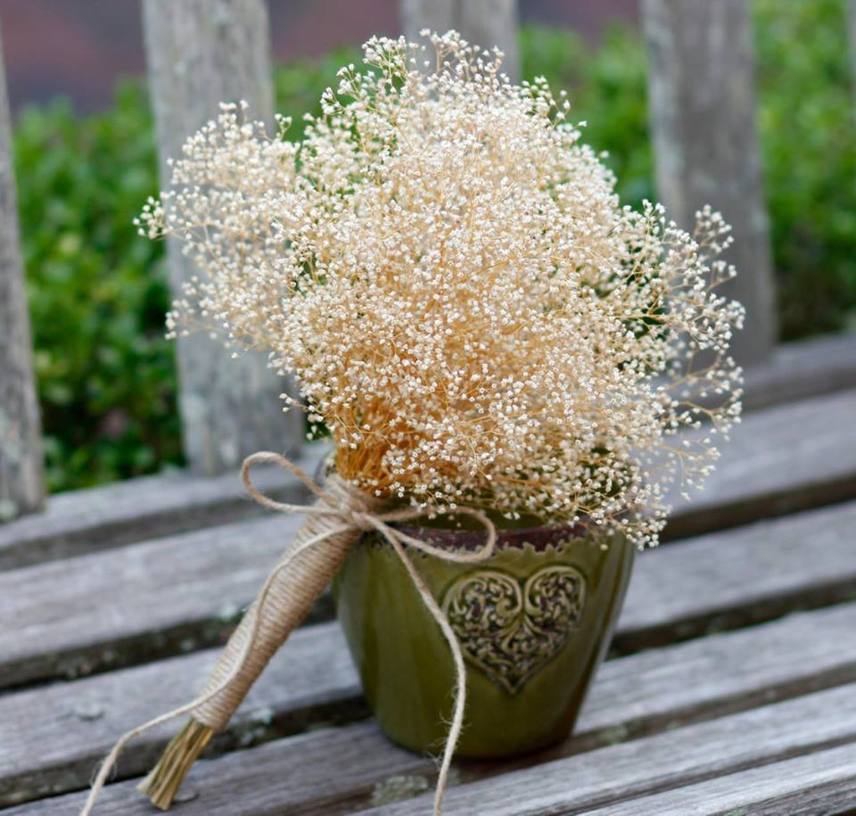 Tuổi Tuất: Vận thế chung: 87 điểm. Tình cảm: có chút biến động nhỏ. Sự nghiệp: tương đối thuận lợi. Tài vận: tài phú gia tăng, có thêm khoản thu. Sức khỏe: chú ý đến các khớp tay, chân. Hướng may mắn: hướng Bắc. Lời khuyên: cần cẩn thận trong năm tuổi. Ảnh: hoakhoiris.com.